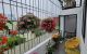 thum-9047833_LerQyg8hM5_1681566204.jpg