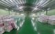 thum-m_WrMGxP8E7B_1681523823.jpg