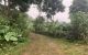 thum-9048032_gAwPmQGdbW_1681654306.jpg