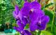 thum-9048148_eUgxABr0Ps_1681705321.jpg
