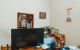 thum-9048169_touTS1wdrV_1681707845.jpg