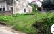 thum-9048523_YAkwSW2Ruj_1681784577.jpg