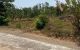 thum-9048834_ud0AYOrqjS_1681866610.jpg