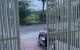 thum-m_OqiHCmVfsl_1681887599.jpg