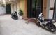 thum-9049658_ySYICPBbA1_1682063002.jpg