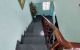 thum-9050320_rOfHy7q8Eg_1682316620.jpg