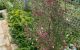 thum-9050360_6SkCW30NT8_1682324294.jpg