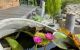 thum-9050360_Z7GoP9kqTe_1682324296.jpg