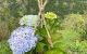 thum-9050360_tNZeW9km4g_1682324291.jpg
