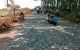 thum-9050631_GmXt7EANSf_1682407416.jpg