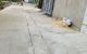 thum-9050789_btZ2BoFeTk_1682466962.jpeg