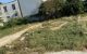thum-9050843_Jj4qS2PNDR_1682477537.jpg