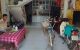 thum-9050942_MQ9Nah1Tvx_1682492032.jpg