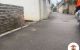 thum-9050982_OQmcueEWdi_1682495330.jpg