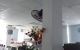 thum-9051007_yFHLgpbEd0_1682498596.jpg