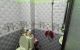 thum-9051430_y8zo1il0mq_1682645578.jpg