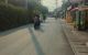 thum-9051509_GJqz81mR6A_1682655028.jpg