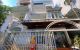 thum-9051760_t0XfNrDQLW_1682827561.jpeg