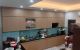 thum-9051789_8jdk3VJbxR_1682858500.jpg