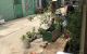 thum-m_GXokOAZrT8_1683177032.jpg