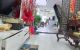 thum-9052680_PiZgoDNcqE_1683271637.jpg