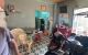 thum-m_2kmY4avfrX_1683385678.jpg
