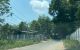 thum-m_1SdQf4mbLX_1683450067.jpg