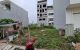 thum-9053352_Zl4fKctYqC_1683554897.jpg