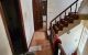 thum-9053534_4xgVCiHaTk_1683616170.jpg