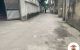 thum-9053549_Dw8h3CQqHz_1683617833.jpg
