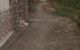 thum-9053638_RD9cLzqKhS_1683636948.jpeg