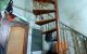 thum-9053691_6SbVCBfsdO_1683677626.jpg