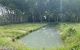 thum-9053760_s4kGtHEgub_1683689016.jpg