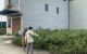 thum-m_QtzJBrhafs_1683712901.jpg