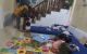 thum-9054051_xHdD4Qz6JR_1683775388.jpg