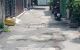 thum-9054294_cA9QxNZ1hU_1683854650.jpg