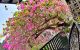 thum-9054316_1hWvAVrc7O_1683857546.jpg