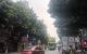 thum-9054400_BziUGbtwpJ_1683865041.jpg