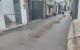 thum-9054408_cgJpufkarF_1683866665.jpg