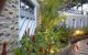thum-9054477_z3wLKGhBHn_1683880626.jpg