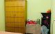 thum-9054526_x2LCavZEF8_1683898327.jpeg