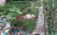 thum-m_6rPRXbUA7n_1683865040.jpg
