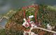 thum-m_dvB8j7RlFo_1683881840.jpeg