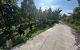thum-m_imdl94DtOf_1683855710.jpg