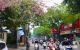 thum-9054632_4ZA1h6aFUD_1683948402.jpeg