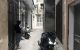 thum-9054761_yVng3Gl4Dx_1683990011.jpg