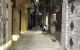 thum-9054762_VJwg8QTM6O_1683990265.jpg