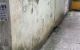 thum-9054803_TE7ifPFCMX_1684032844.jpg