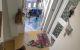 thum-9054879_0JPkxoUSGL_1684057664.jpg