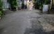 thum-9054886_a4sdB932Pg_1684062745.jpg
